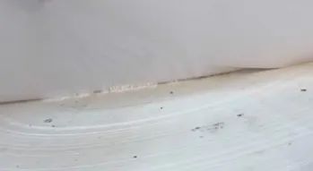 77ca01c1e7b4b7a9970aaf65d6a3490d.jpg 77ca01c1e7b4b7a9970aaf65d6a3490d.jpg